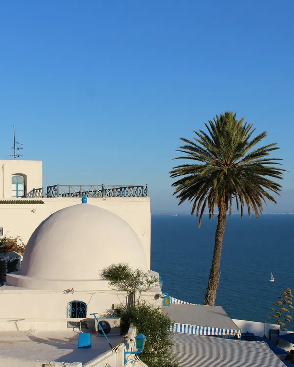 Sidi Bou Saïd: a white dome, a palm tree and the sea